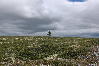 Ringebu-Fjell